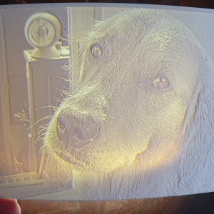 Lithophane schildjes
